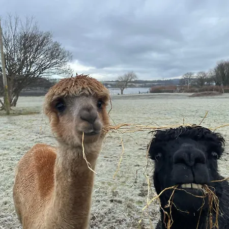 Fivestar Luxurious - Quay 别墅 韦斯特波特