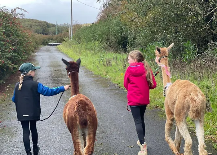 Fivestar Luxurious - Quay