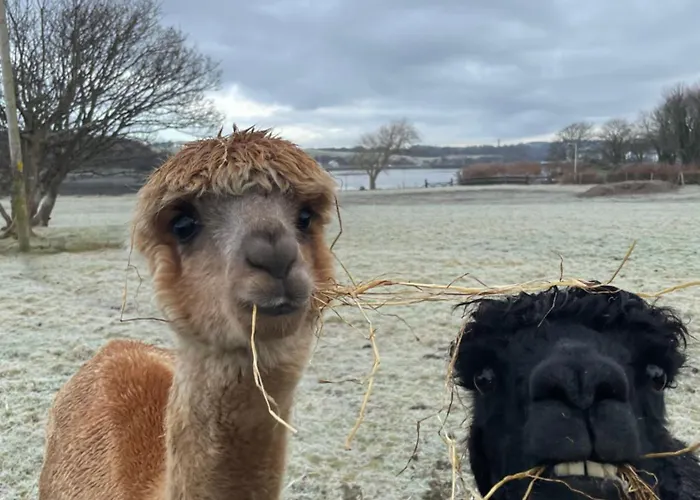 Fivestar Luxurious - Quay Villa Westport